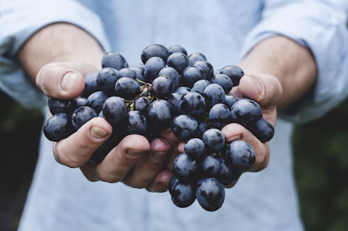 Dans le monde du vin, plusieurs plateformes en ligne se sont développées pour simplifier l'achat de vin et la découverte de nouveaux domaines